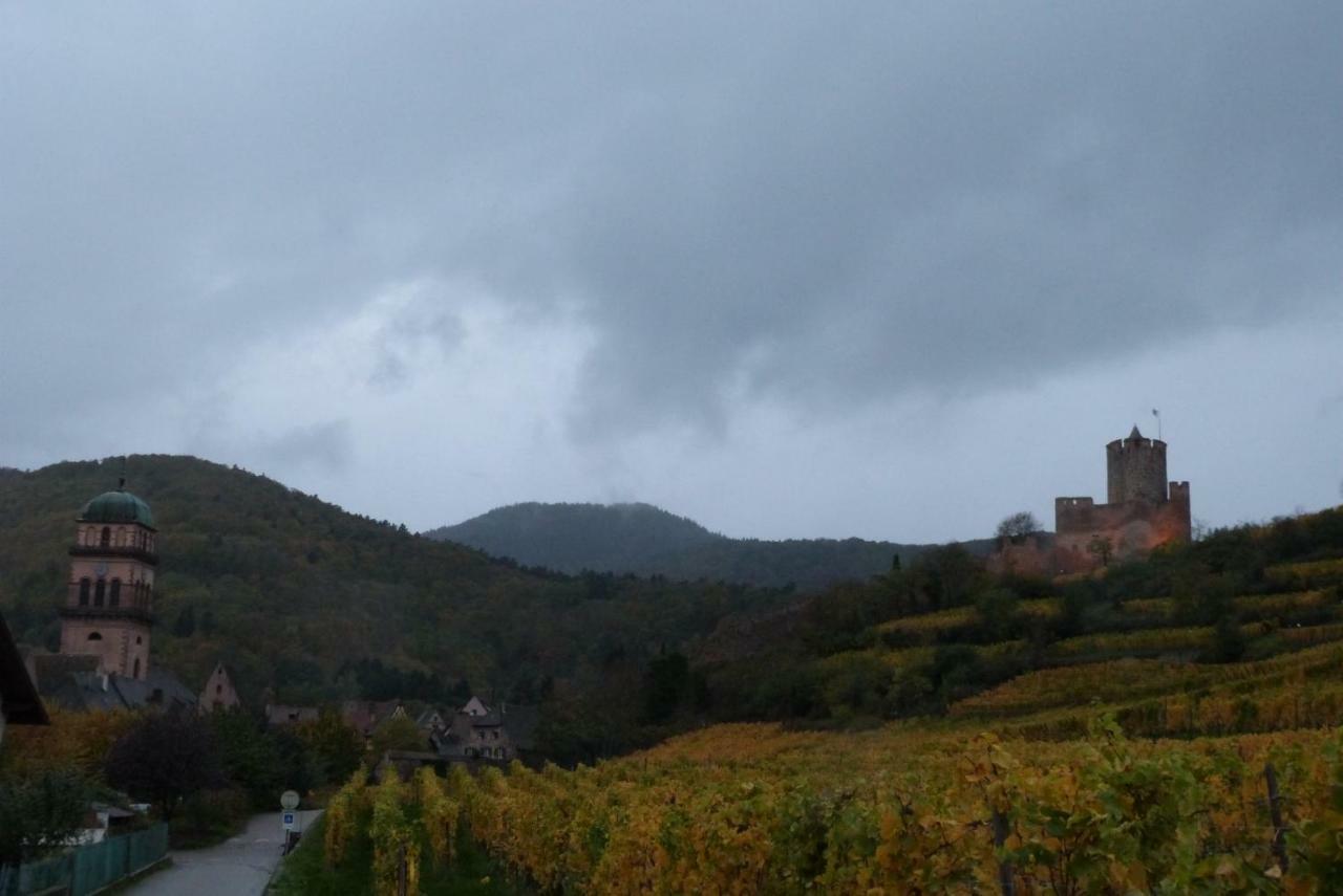 Marcia Donatti - A L'Ombre Des Coteaux Sao Paulo Hotel Kaysersberg-Vignoble ภายนอก รูปภาพ