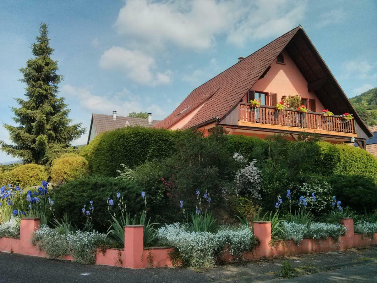 Marcia Donatti - A L'Ombre Des Coteaux Sao Paulo Hotel Kaysersberg-Vignoble ภายนอก รูปภาพ