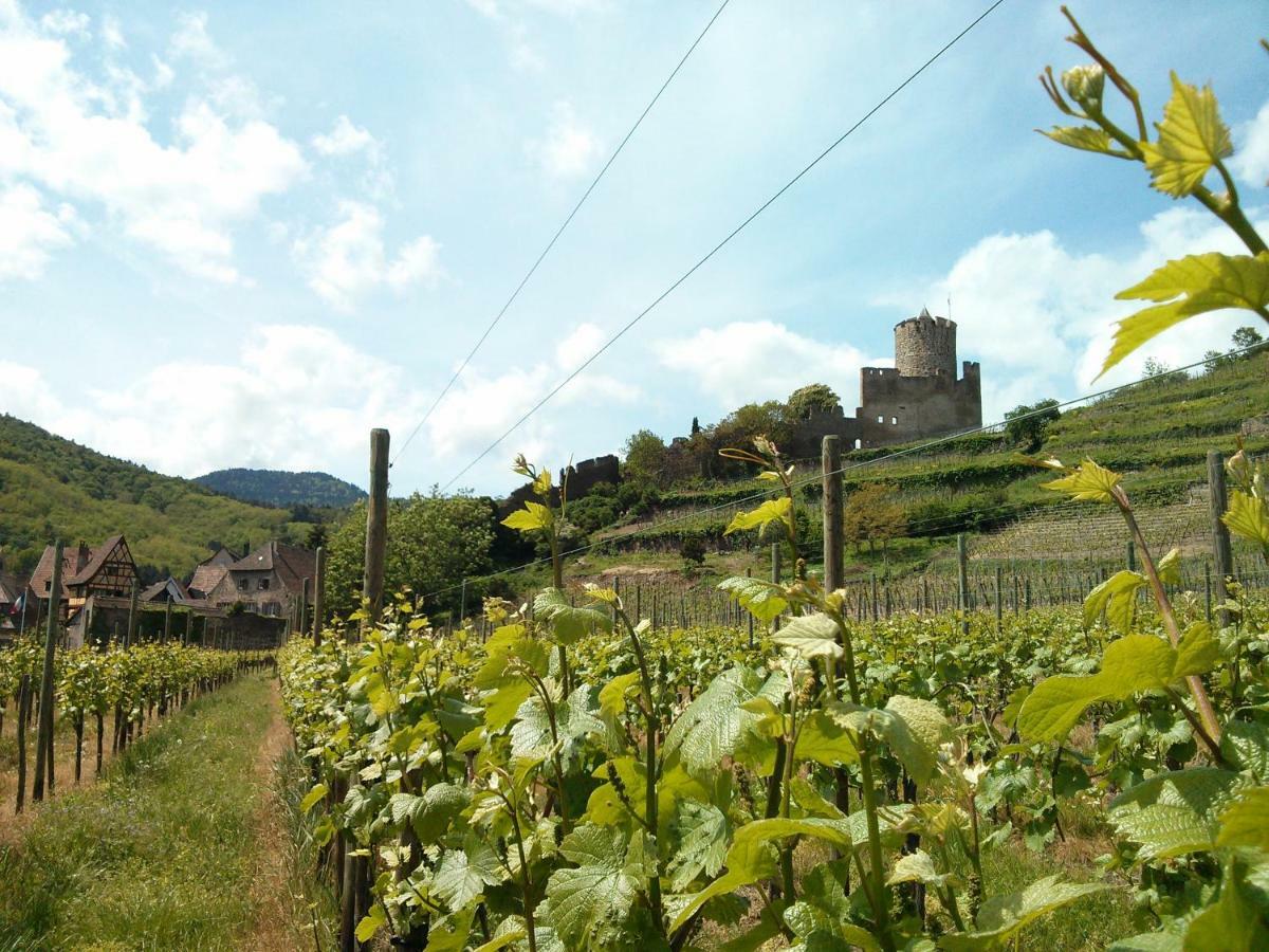 Marcia Donatti - A L'Ombre Des Coteaux Sao Paulo Hotel Kaysersberg-Vignoble ภายนอก รูปภาพ